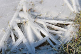 Ice patterns, Carbarns Pond, Motherwell