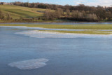 Carbarns Pond, Motherwell