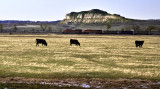 Nebraska scene