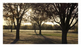 Late afternoon 