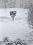 Snow day