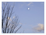 7:18 am, 31 March 2013
