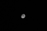 Nov 24 2012 Moon Shots-002.jpg