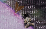 Noctuidae; Noctuinae; Elaphriini; Bryolymnia sp.? 0859.jpg