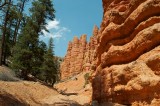 Hoodoos in Red Canyon