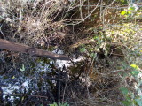 Nice trail marker....