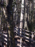 Boardwalk