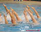 Synchronized Swimming 08664 copy.jpg