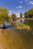 Lake Wendouree 7.jpg