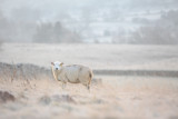 20121213 - Chilly
