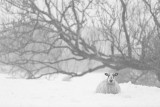 20130121 - Sunk