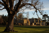 20130207 - Jervaulx Abbey