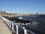 DSC01540.jpg