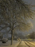 IMG_8209.JPG