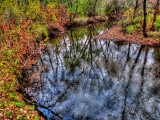Vermillion River Trout Stream