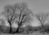 University of Minnesota Landscape Arboretum