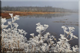 Very Cold And Frosty Morning