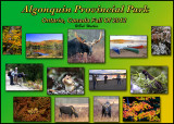 A Most Memorable  Excursion