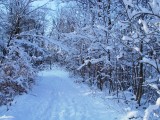 CZ - Beautiful winter landscape 1/2013