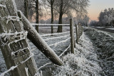 frosty weather (Zaamslag)