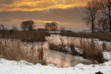 Cold Morning (Zaamslag - Groeneweg)