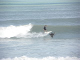 DSCN7766 2.JPG