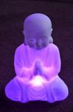 Purple buddha