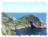 Turtle Cove