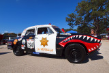 A young lady looks over a patrol car with a unique paint job. 