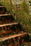 Old Steps