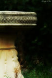 Birdbath