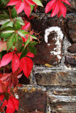 Red Face