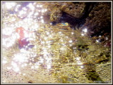 IMG_1441 Sparkles and Touch of Sun