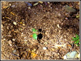 IMG_1377 March Mix - New/Fresh/Begin