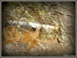 IMG_2125 On the Move