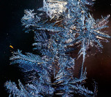 Frost on a van  _MG_5385.jpg