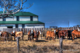 On the Back Roads of Texas 909