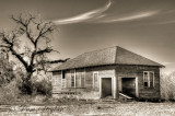 On the Back Roads of Texas 907