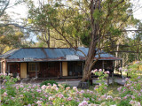 Bank Building