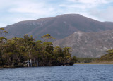 Melaleuca Creek