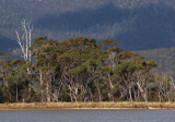Across Cloudy Bay