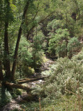 Seen from the train window