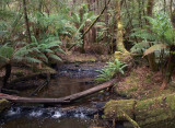 Tyenna River