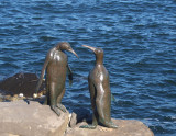 Bronze Penguins