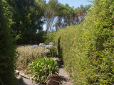 Glengarry Maze