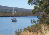 Huon River near Franklin