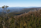 Waratah Lookout