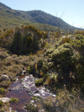 On the Lake Osborne track