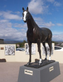 Malua, a heroic Deloraine racehorse