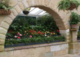 In the Conservatory